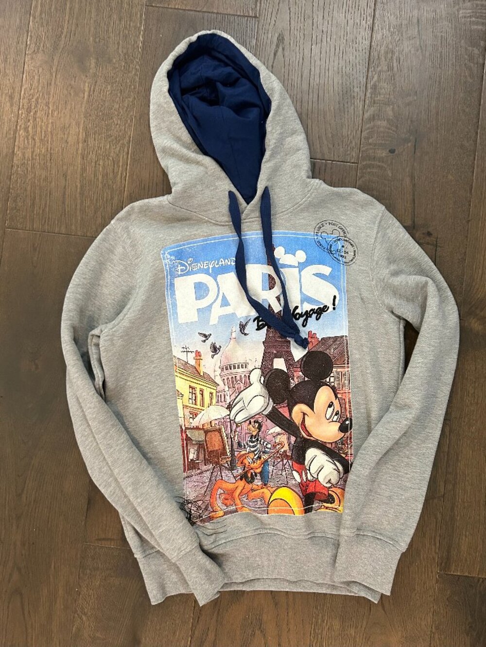 Disneyland Paris Mickey Mouse Gray Pullover Hoodie Sweatshirt Small